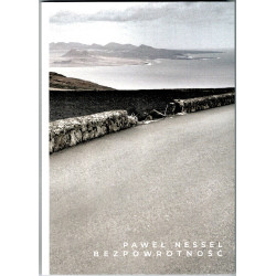 Paweł Nessel - Bezpowrotność