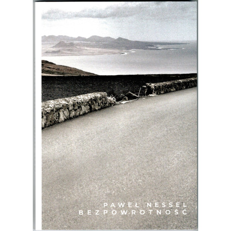 Paweł Nessel - Bezpowrotność